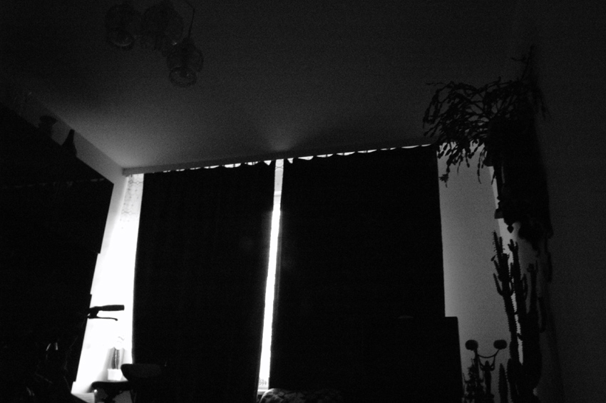 9. Urszula Sliz , room cactus