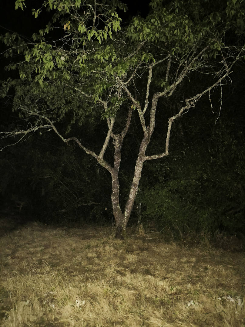IMG 20260731 005328 1s
