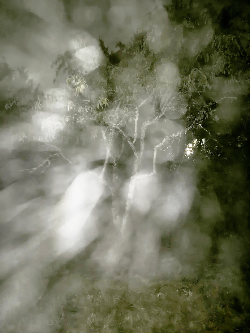 IMG 20260801 130718s