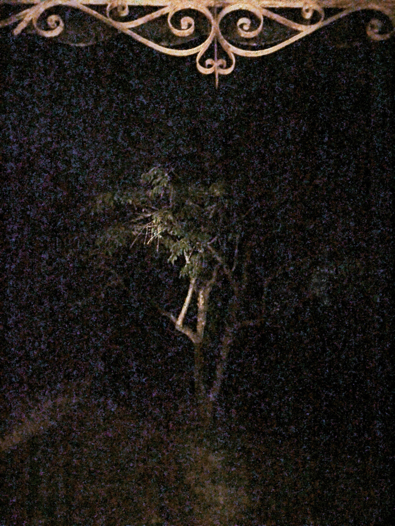 IMG 20260808 134010s